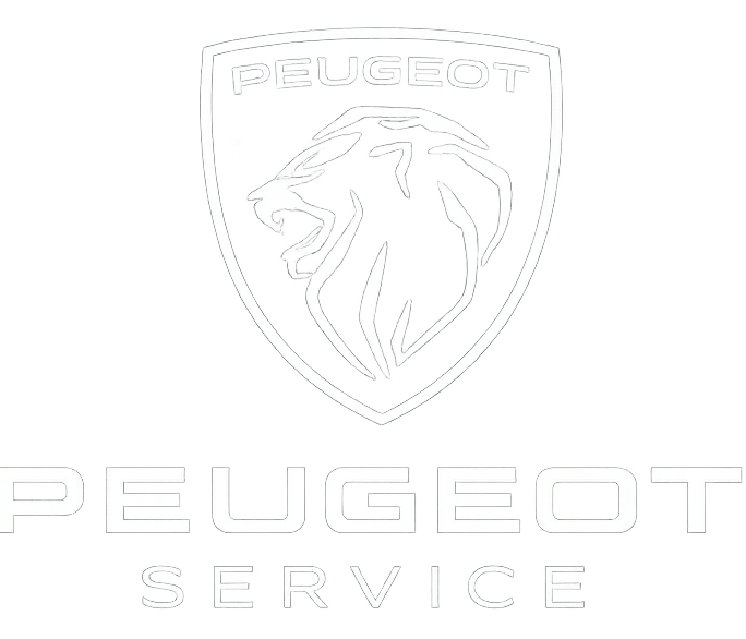 peugeot wit trans